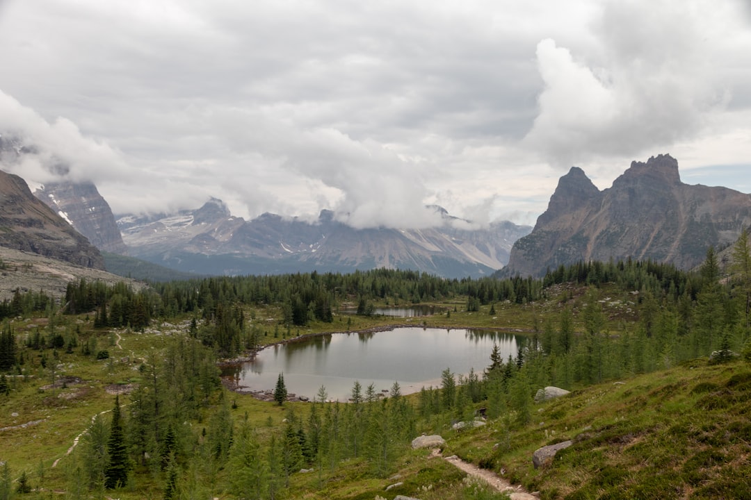 Nature reserve photo spot Moor Lakes Lake Minnewanka Trail