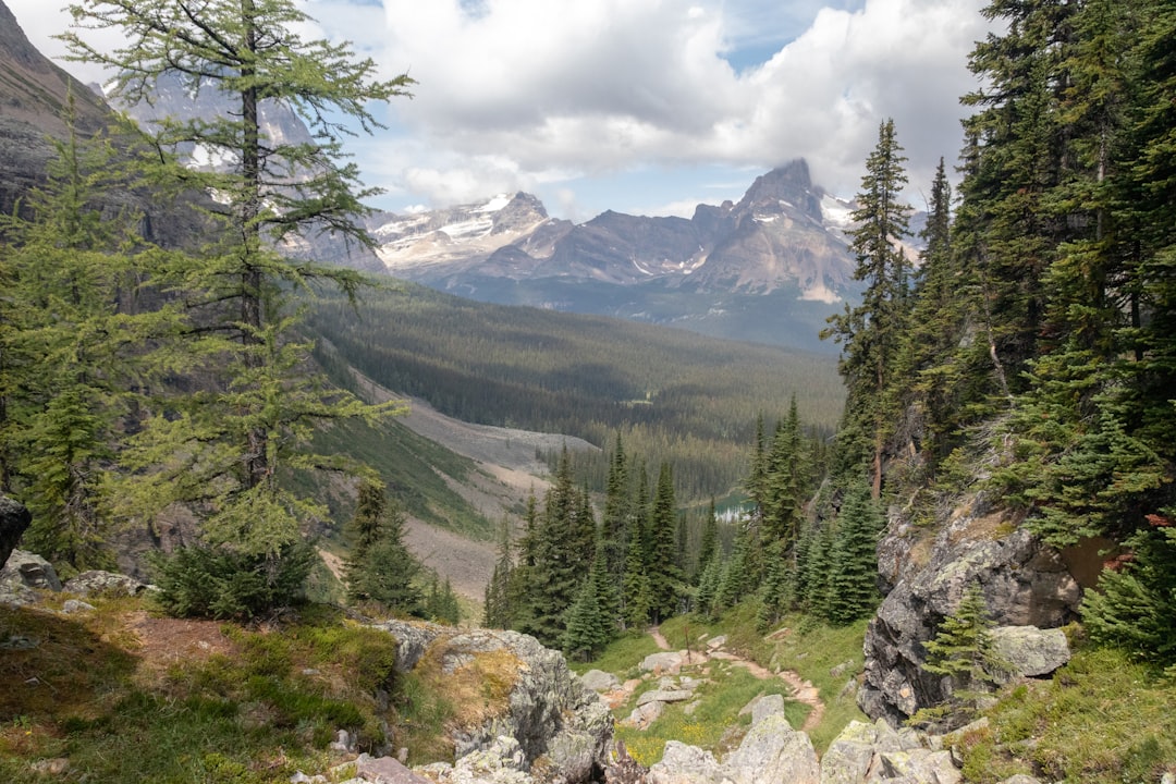 Nature reserve photo spot Mary Lake Sulphur Mountain