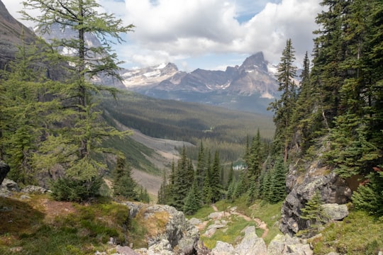 landscape photo of mountain surrounded by pine trees in Mary Lake Canada