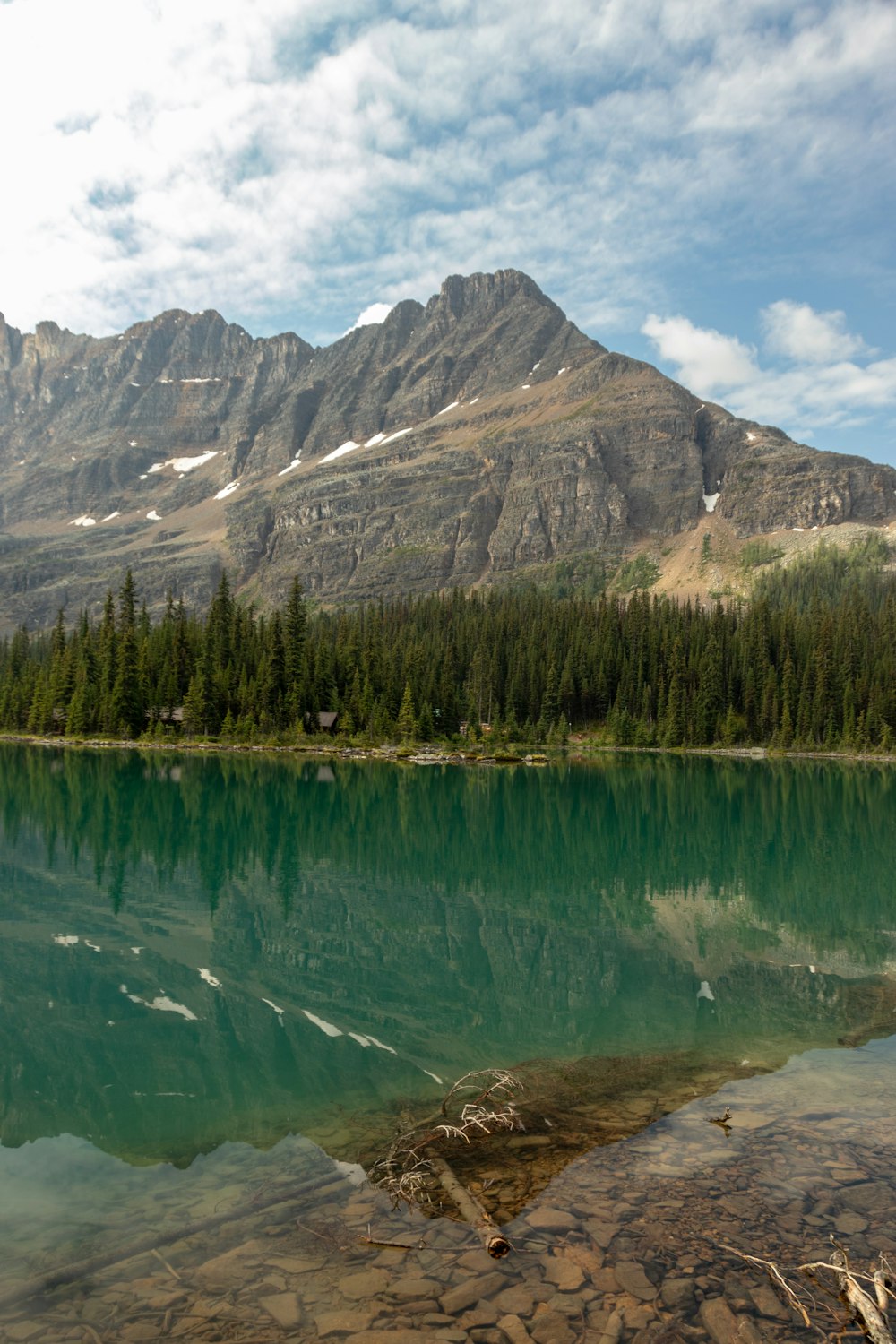 green trees and teal lake during daytime