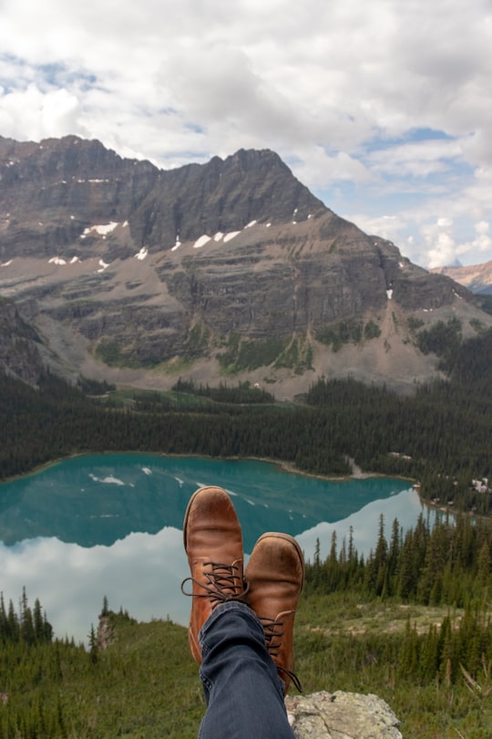 person showing brown dress shoes in Yoho National Park Of Canada Canada