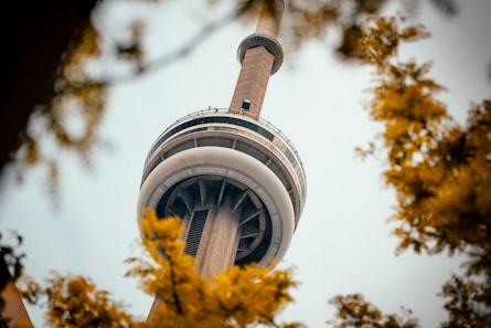 shallow focus photography of gray and white tower
