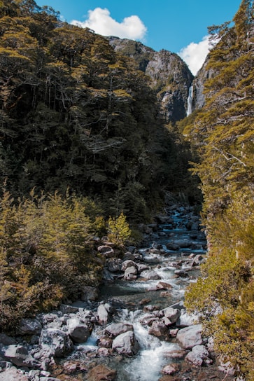 A serene mountain stream flowing through rocky terrain under clear blue skies, capturing the essence of Himalayan purity.