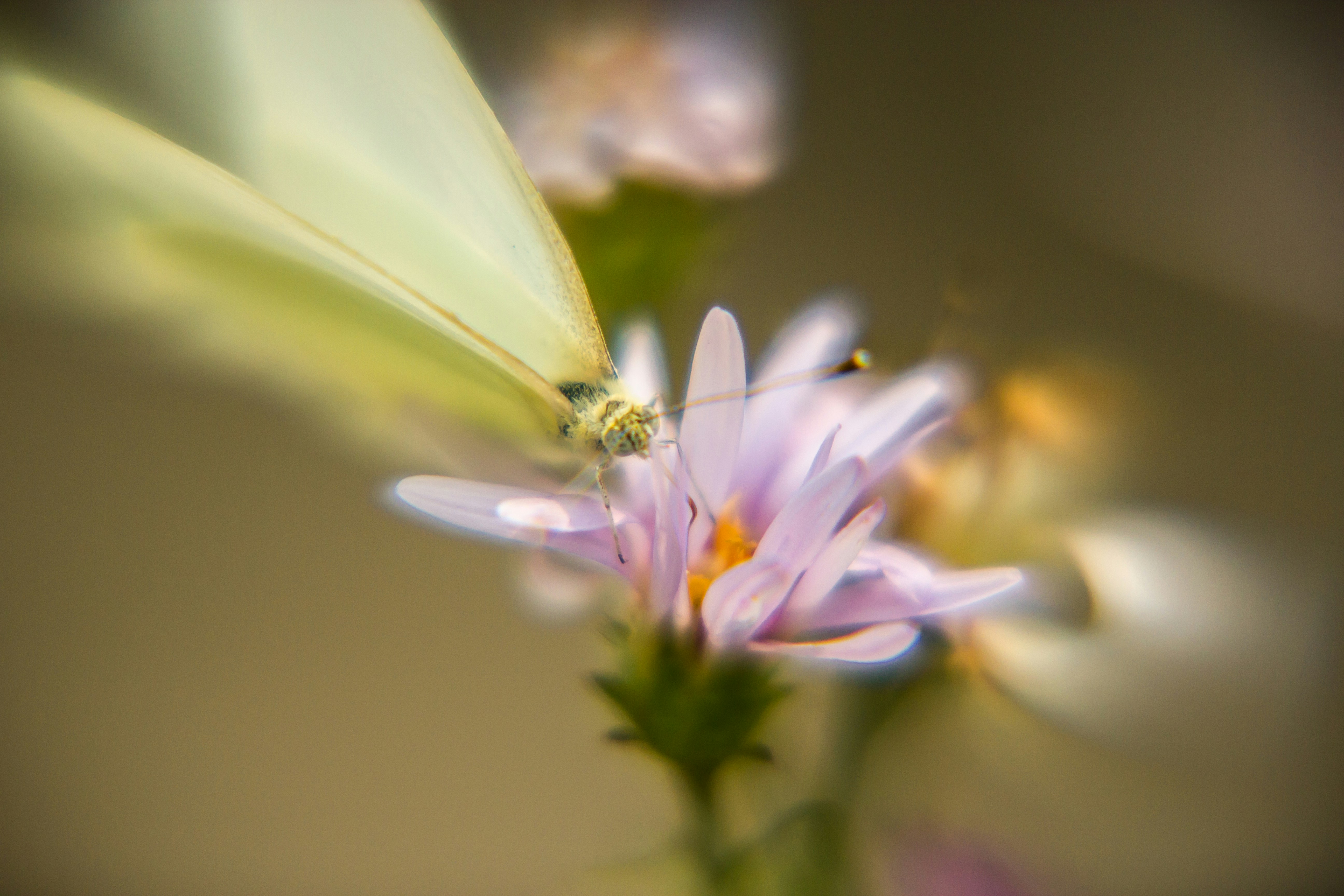 Photo by worldsbetweenlines