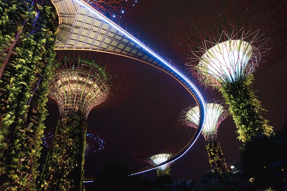 Supertree Grove, Singapur