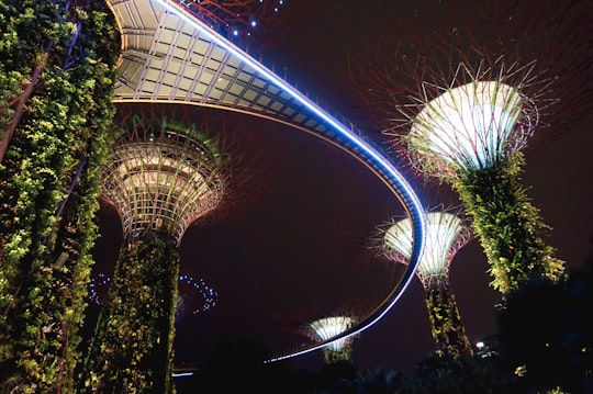 Supertree Grove, Singapore in Gardens by the Bay Singapore
