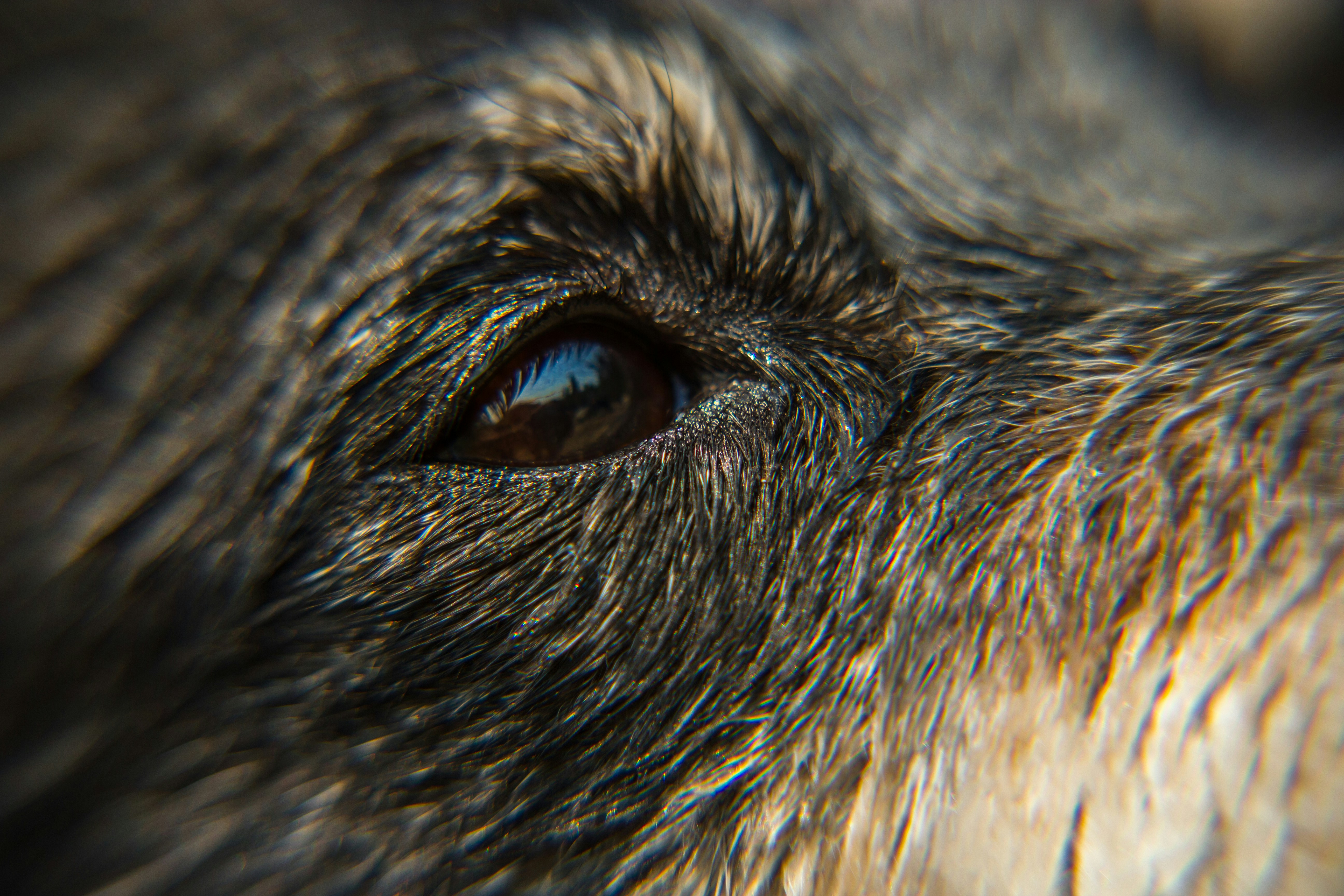 Photo by worldsbetweenlines