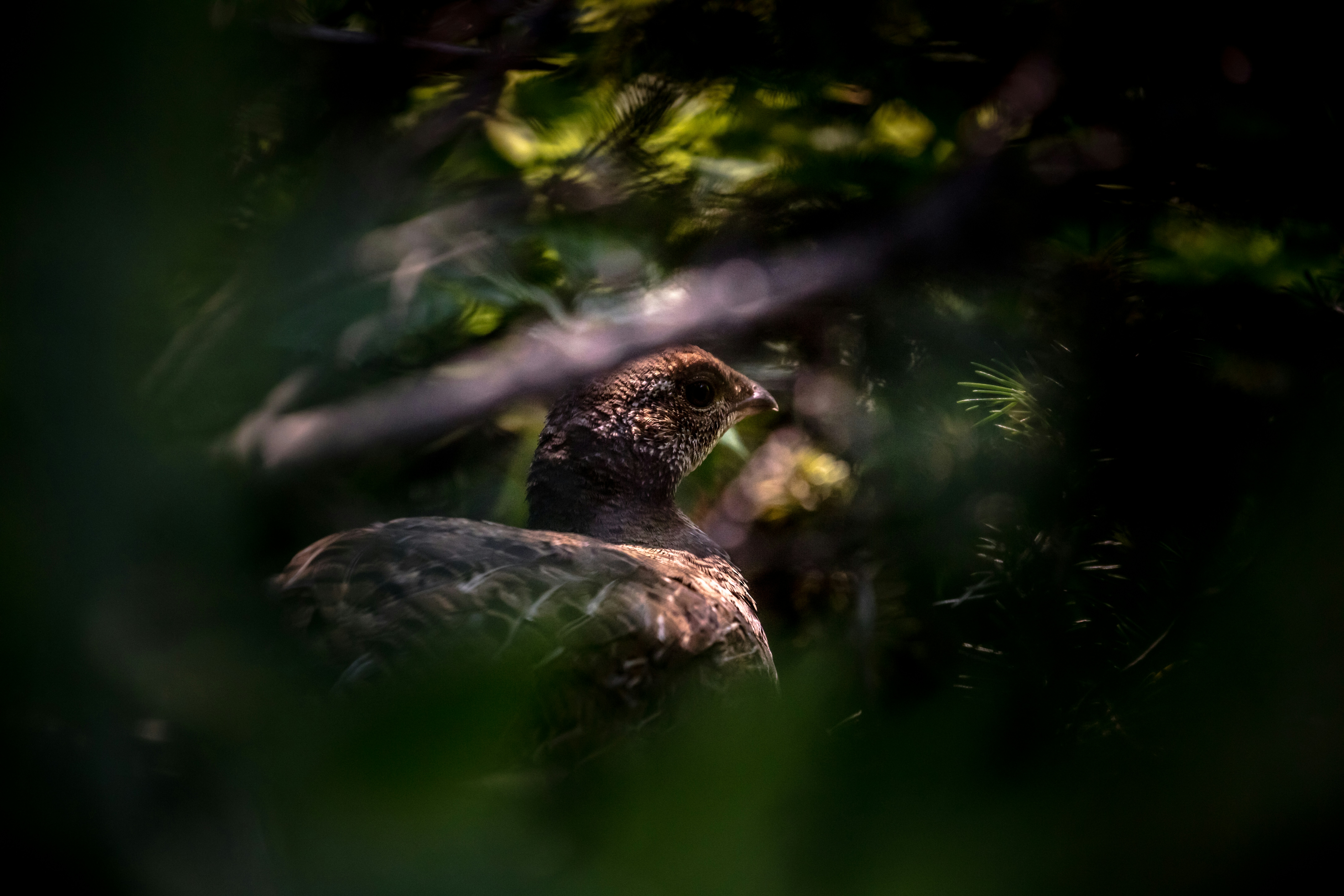Photo by worldsbetweenlines