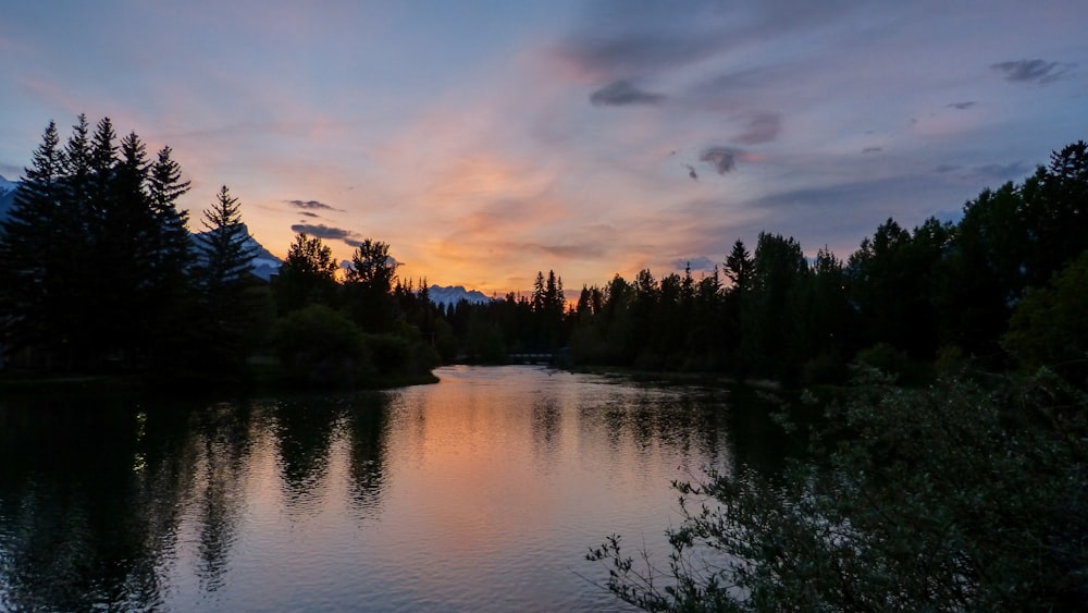 silhouette of trees and body of water during golden hpur