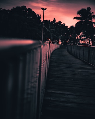 A wooden boardwalk lined with metal railings leads towards a collection of silhouetted palm trees under a dramatic, colorful sky. The atmosphere is serene and slightly introspective, with the path suggesting a journey or transition.