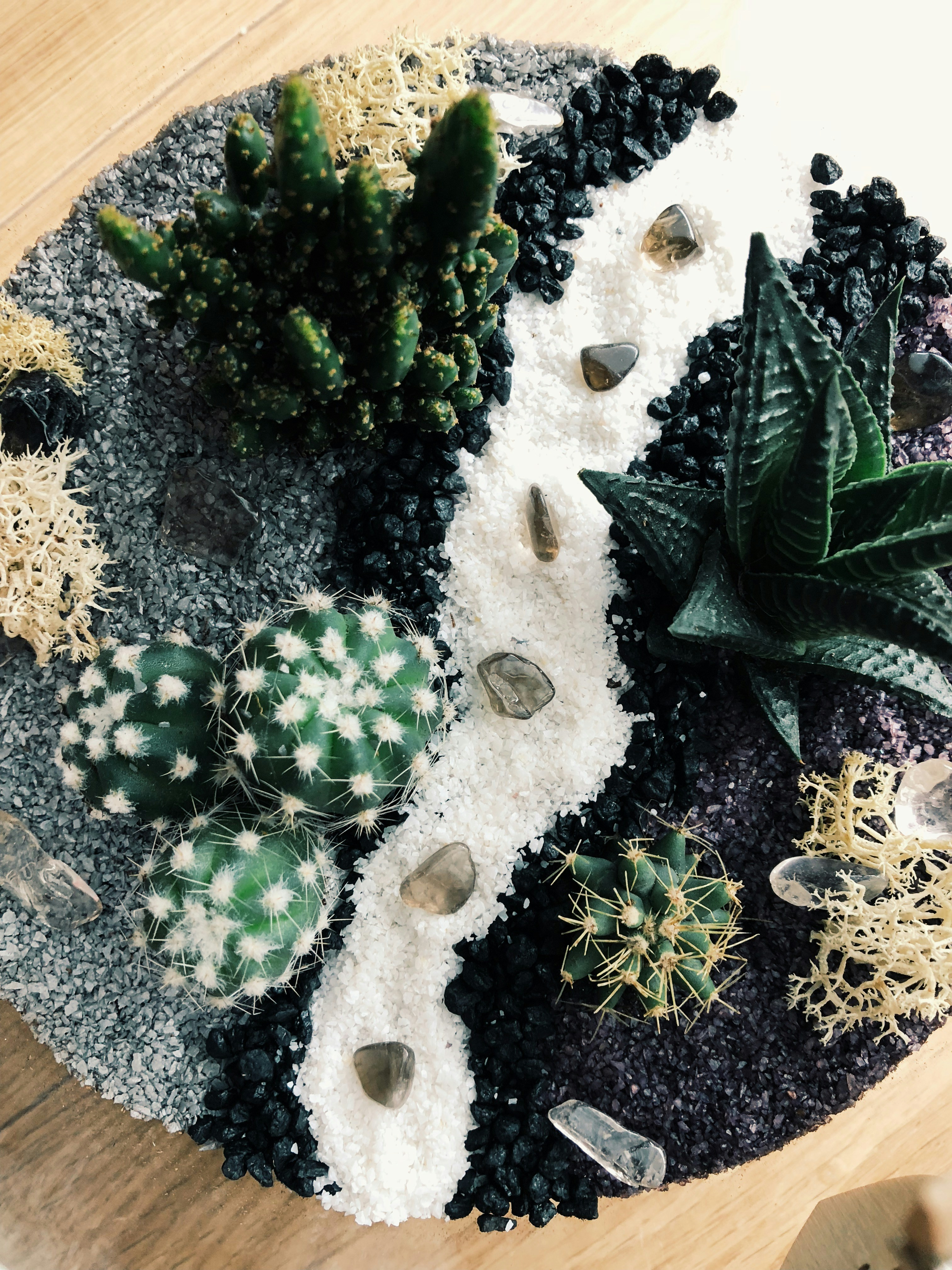 Compact cylindrical succulent garden with decorative elements