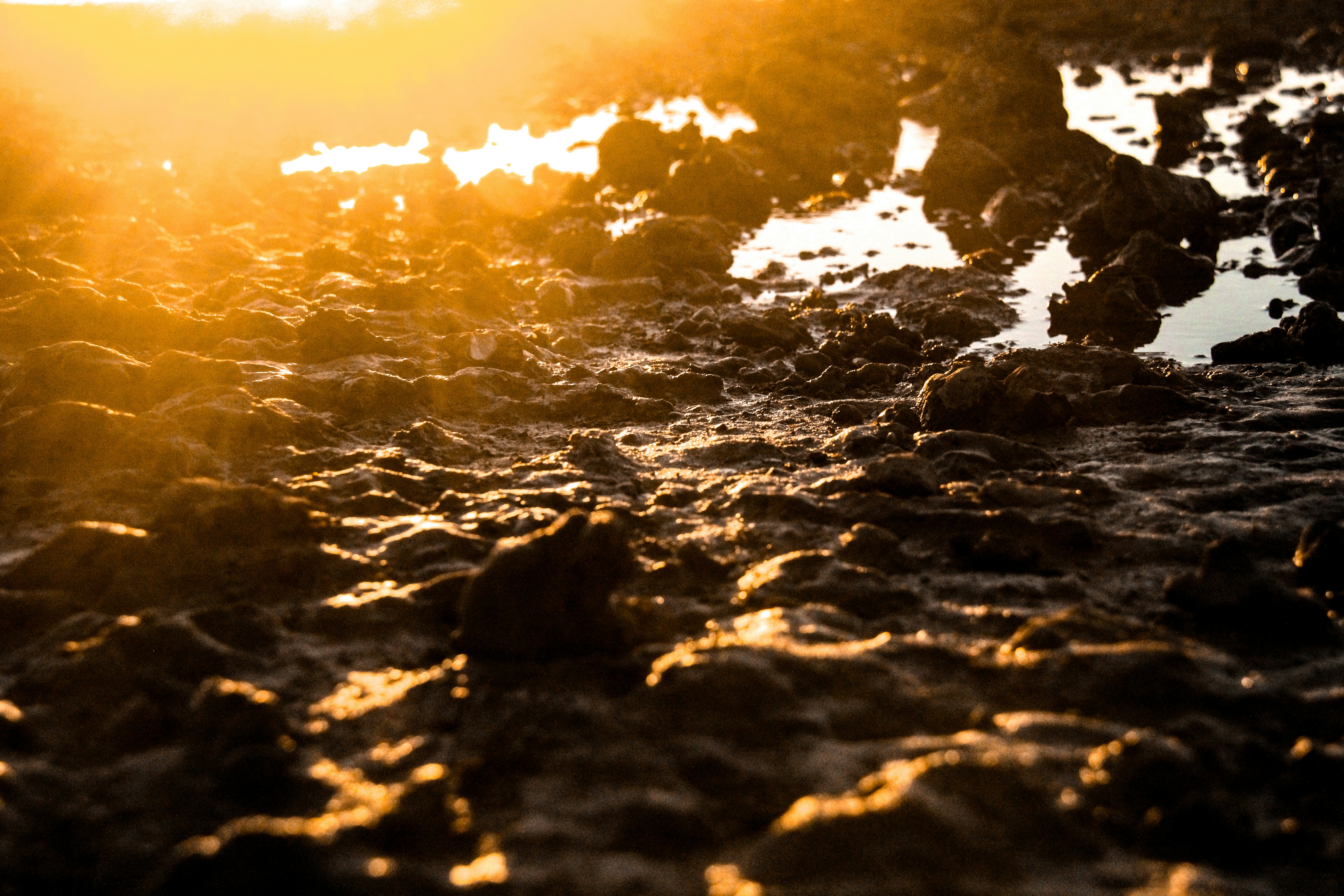 silhouette photo of rocks on ground