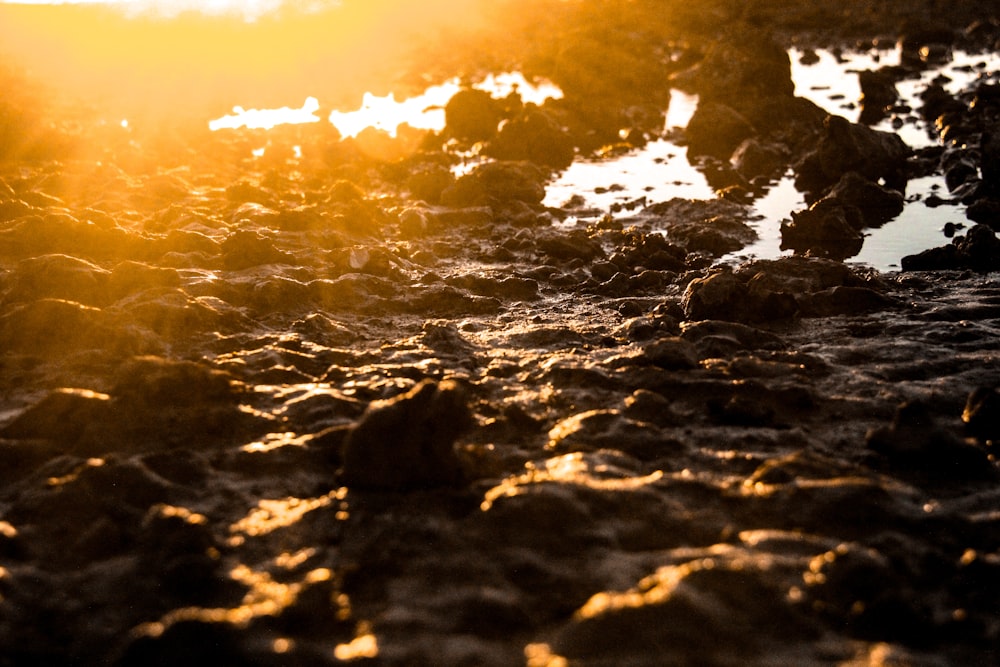 silhouette photo of rocks on ground