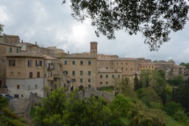 A picturesque view of an ancient village with stone buildings and tiled roofs nestled among lush greenery. A tall bell tower stands out among the closely packed structures. Overhead branches frame the scene, creating a natural arch.