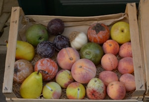 Fresh Fruits