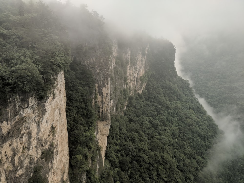 mountain cliff atop forest during daytime