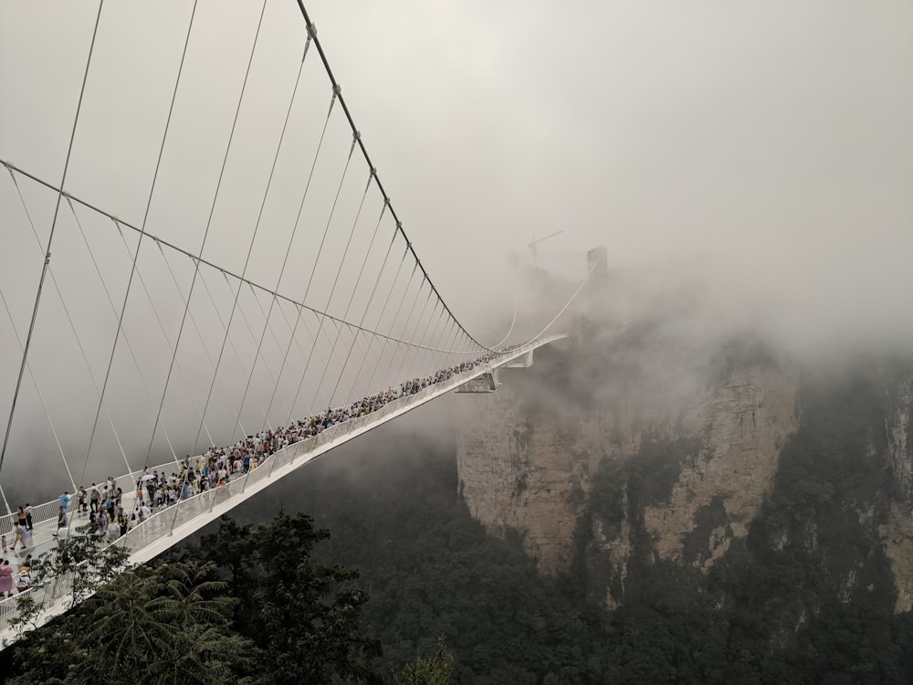 group of people at glass bridge
