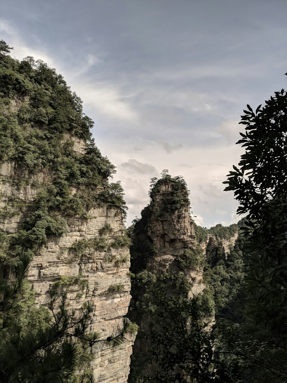 aerial photography of mountain covered with trees