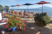 two blue and red patio umbrellas