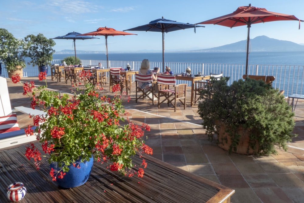 two blue and red patio umbrellas