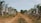 A vineyard with rows of grapevines extending into the distance, separated by a dirt path. The grapevines are covered with netting to protect them, and the area is lush with greenery under a bright, clear sky.