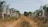 A vineyard with rows of grapevines extending into the distance, separated by a dirt path. The grapevines are covered with netting to protect them, and the area is lush with greenery under a bright, clear sky.