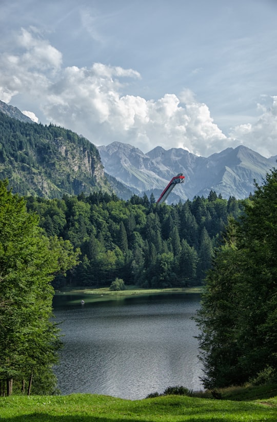 body of water surrounded trees in Freibergsee Germany