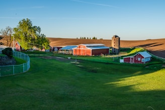 barn on green field