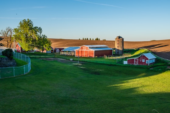 barn on green field
