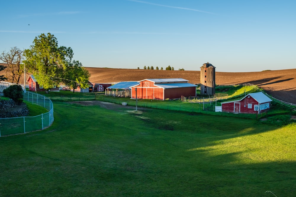barn on green field