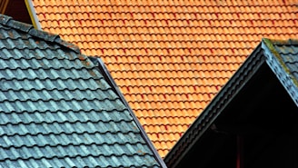 brown and green house roof