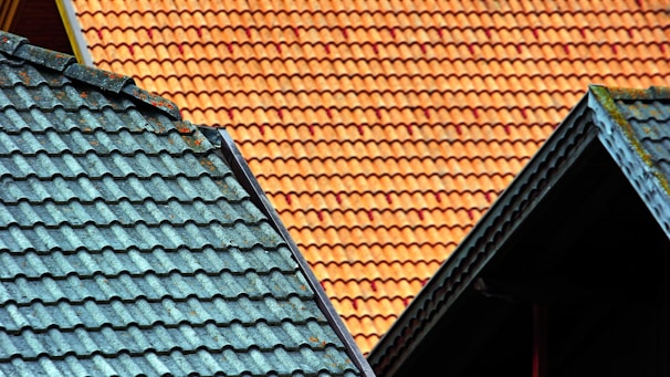 brown and green house roof