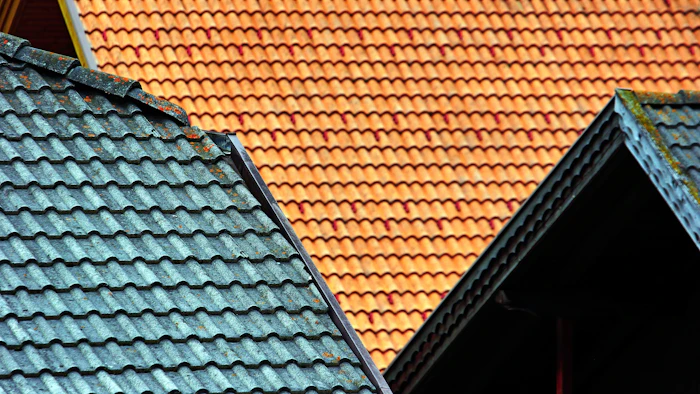 Brown and green house roof