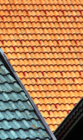 brown and green house roof