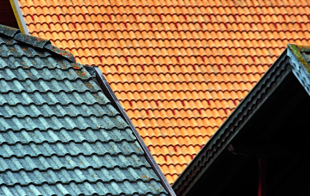 brown and green house roof