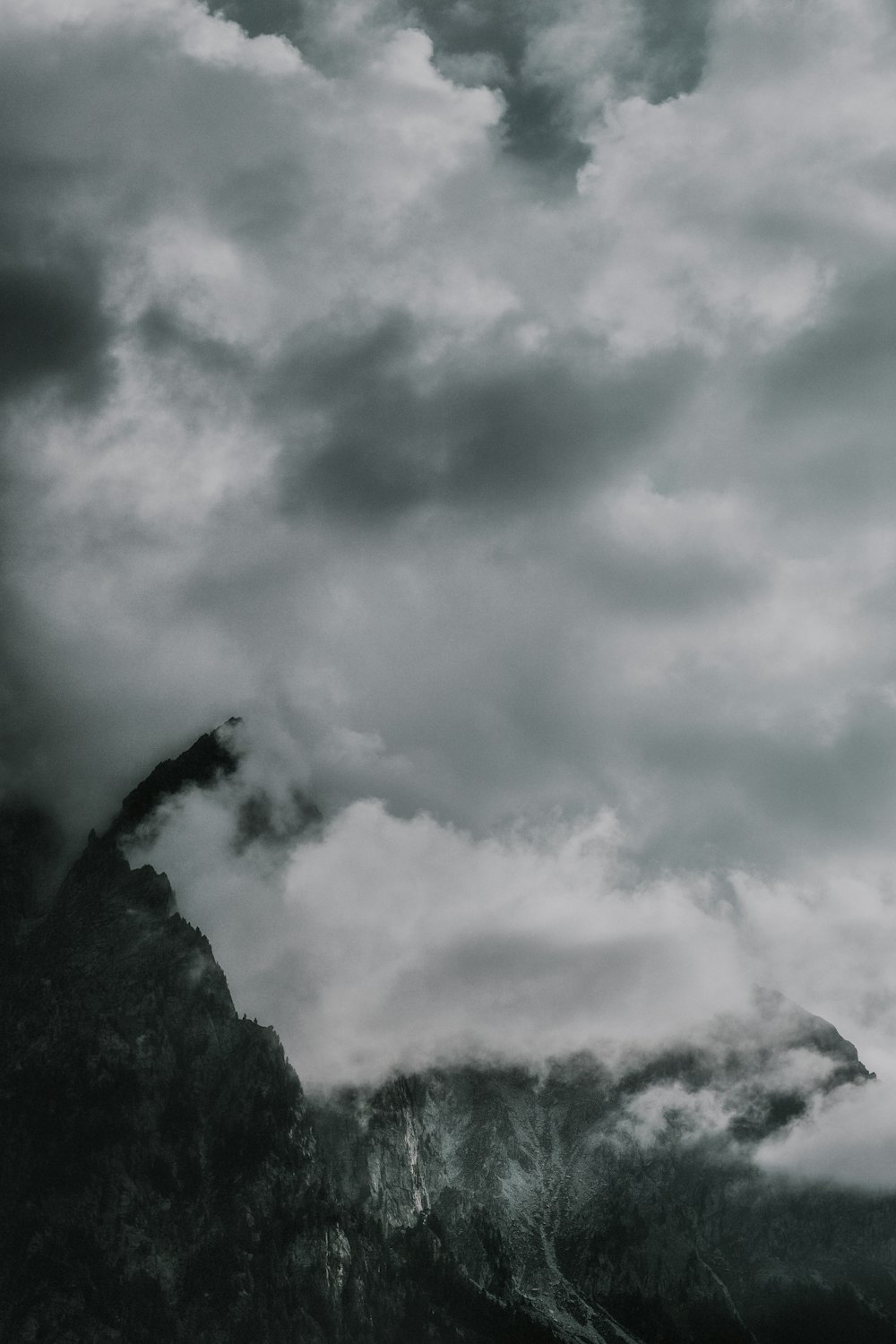 trees under cloudy sky