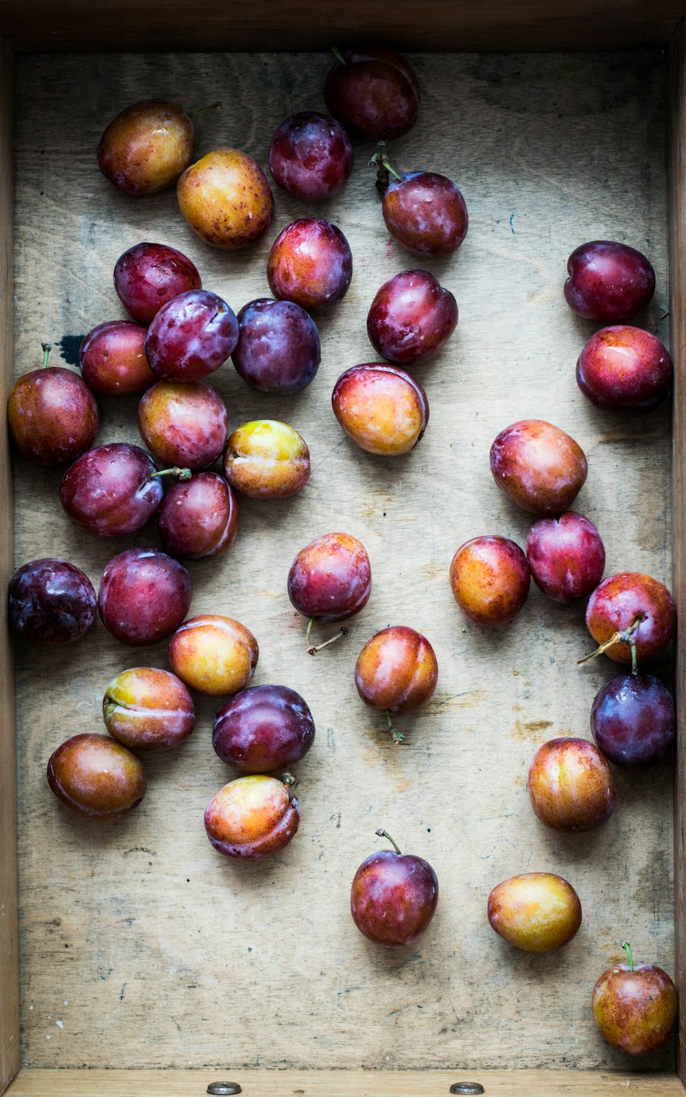 bouquet de prune espagnole sur surface brune