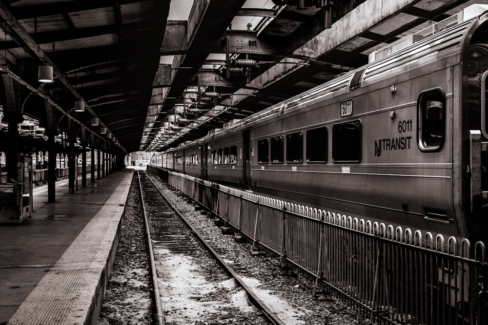 Foto en escala de grises del tren