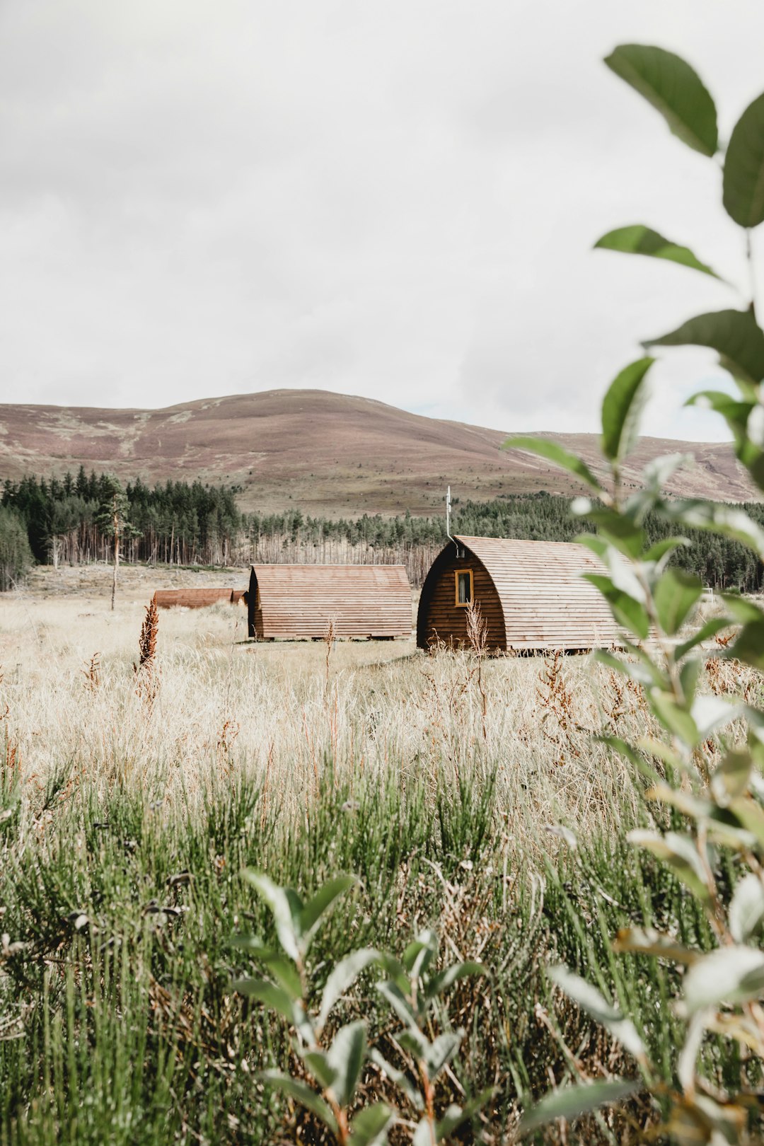 Ecoregion photo spot Badaguish® Lodges Scotland