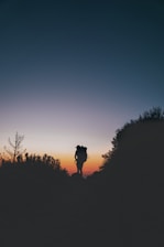 silhouette of person standing on rock