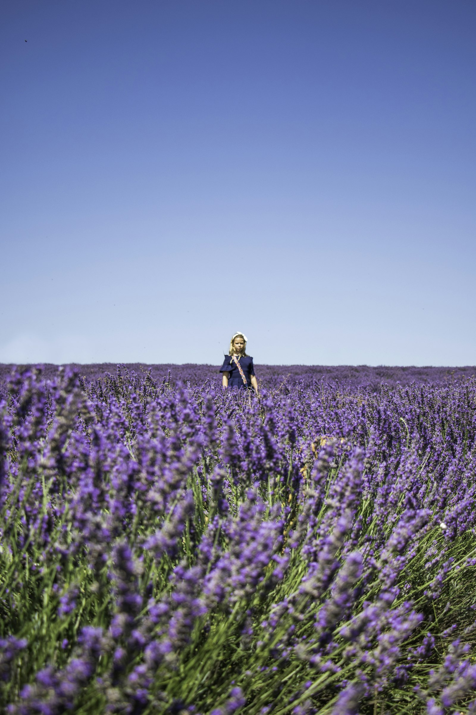 Canon EF-S 18-135mm F3.5-5.6 IS STM sample photo. Person standing in lavender photography