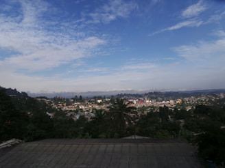 A panoramic view of a coffee town blending bamboo architecture with lush green hills.