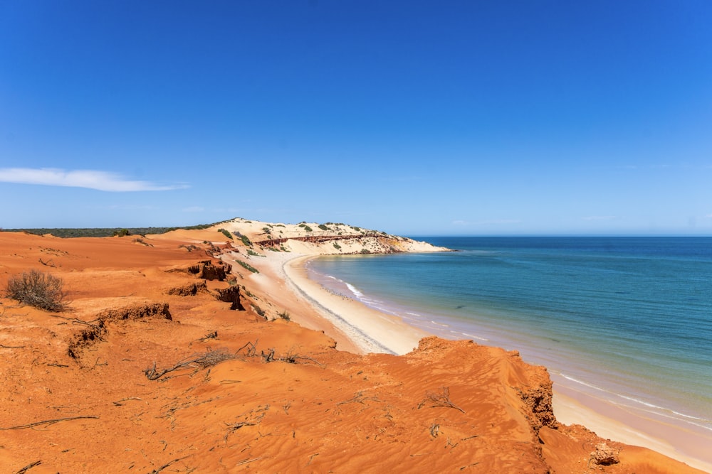 rivage près de l’océan pendant la journée