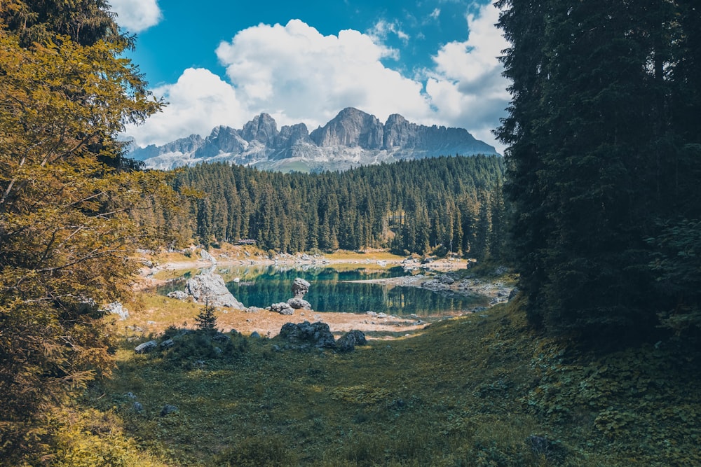 fotografia di paesaggio dello specchio d'acqua vicino agli alberi e alla montagna