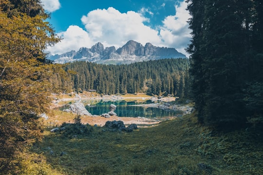 landscape photography of body of water near trees and mountain in Karersee Italy