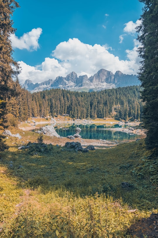 green leafed trees under blue sky in Karersee Italy