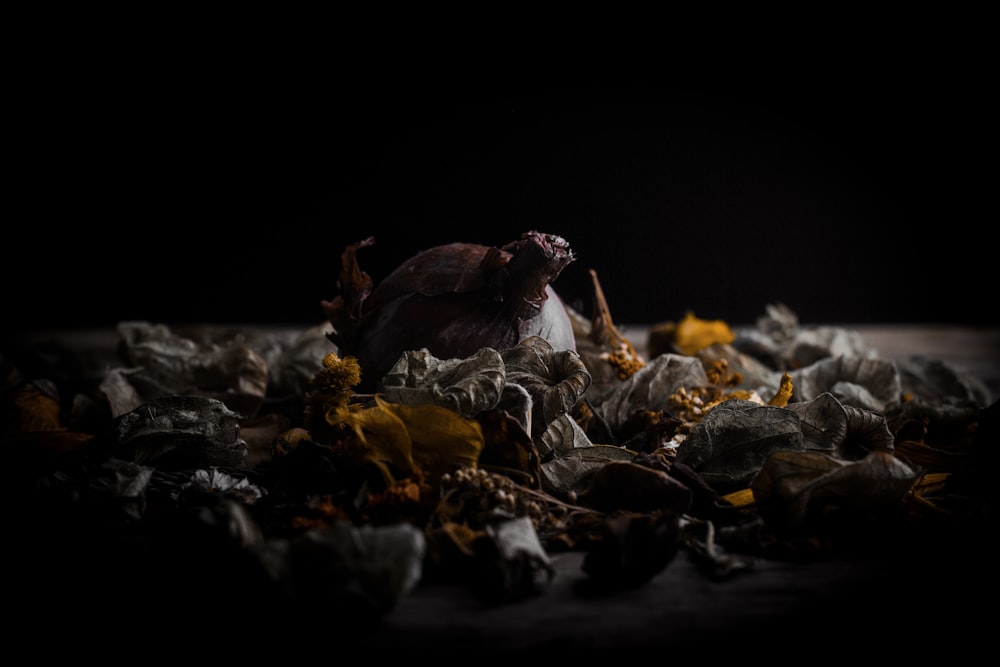 a pile of dead flowers on a table