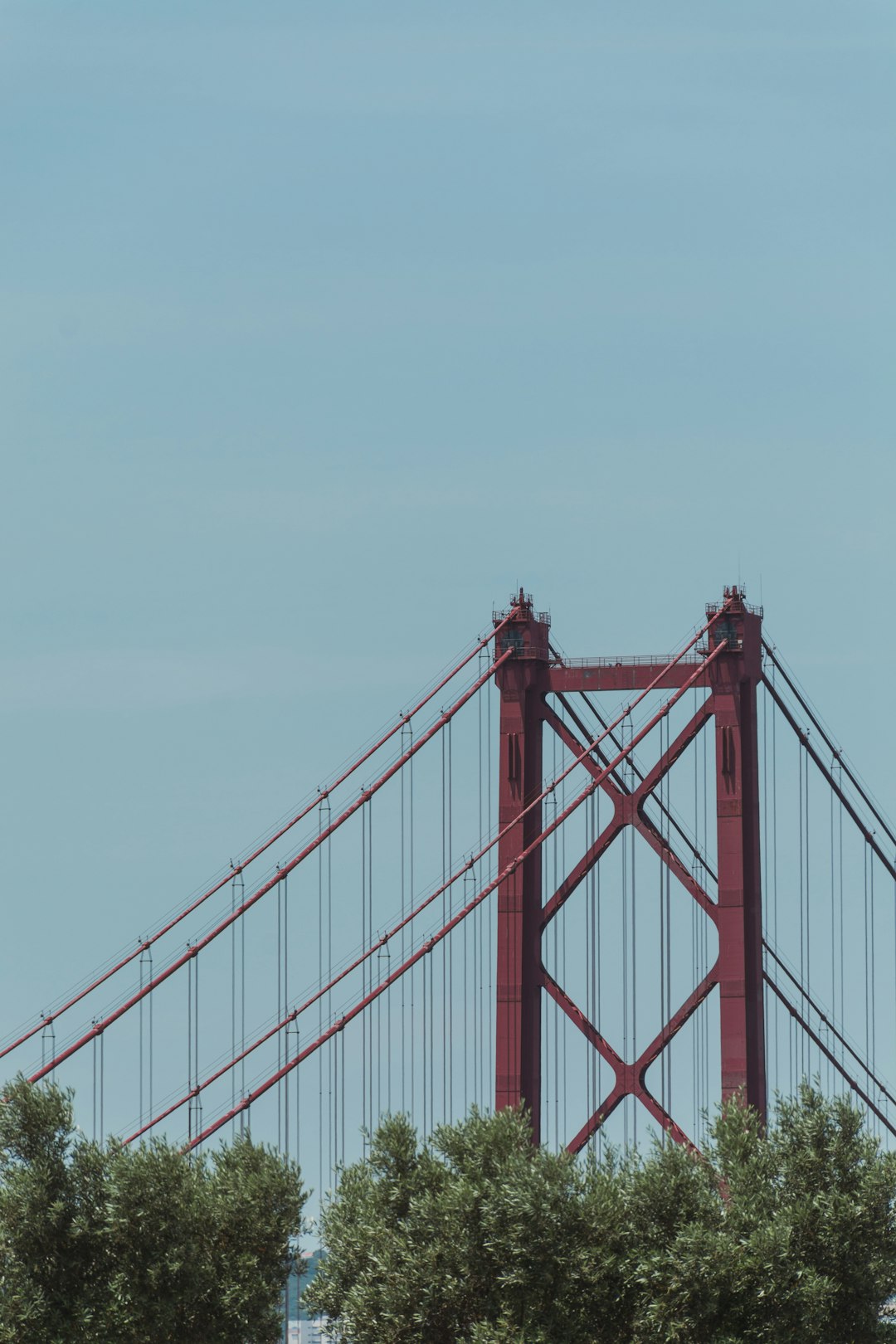 Suspension bridge photo spot National Sanctuary of Christ the King Circuito de Monsanto