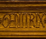 A close-up view of the word 'GENITRIX' carved into a wooden or metallic surface. The letters are raised and have an ornate style, with the background and lettering appearing to be gold.