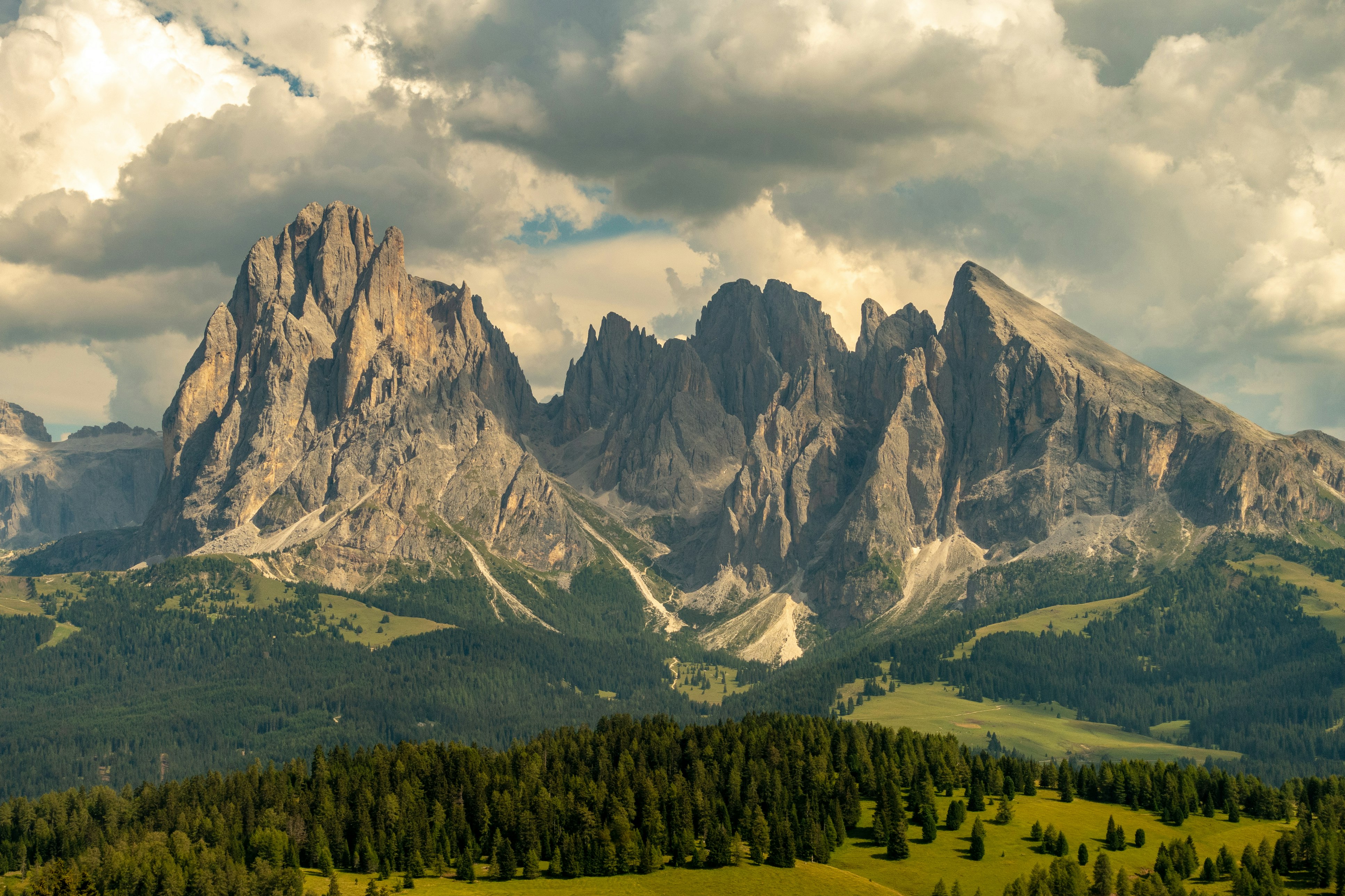 trees near mountain